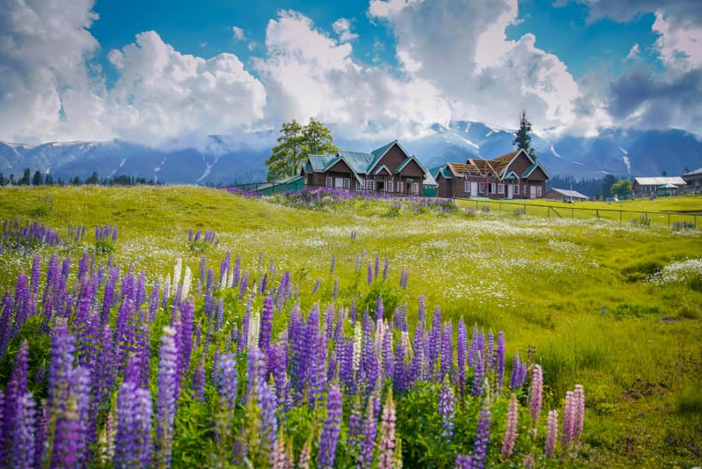 गुलमर्ग- Gulmarg