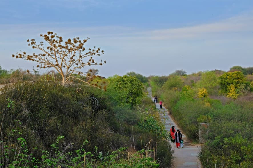 अरावली जैव विविधता पार्क- Aravali Biodiversity Park